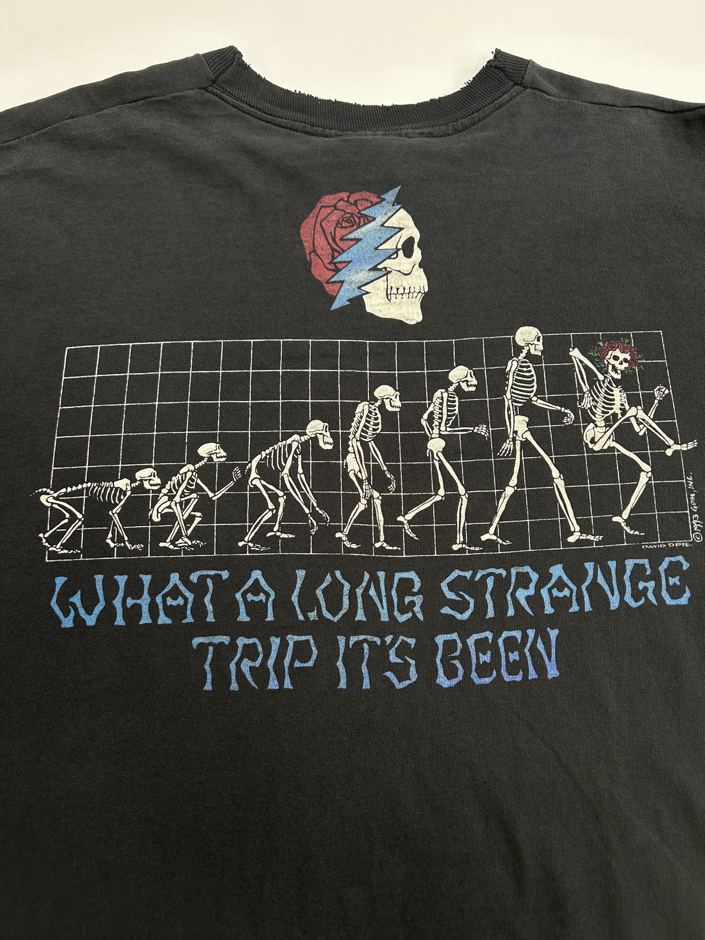 Vintage 1993 Grateful Dead What A Long Strange Trip Its Been Liquid Blue Music T-Shirt Size XL 90s