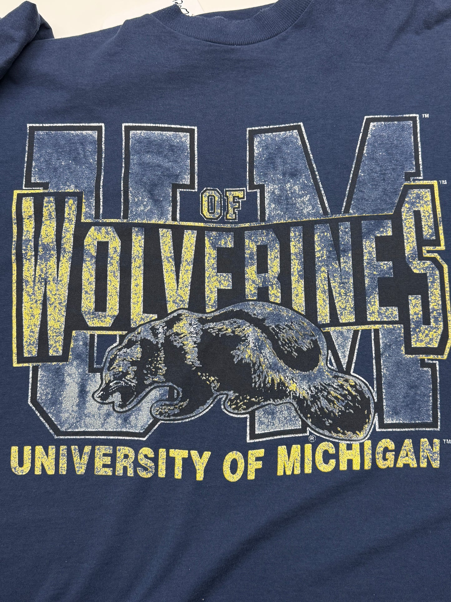 Vintage 90s University Of Michigan Wolverines UOFM Collegiate Graphic T Shirt Size XL Blue