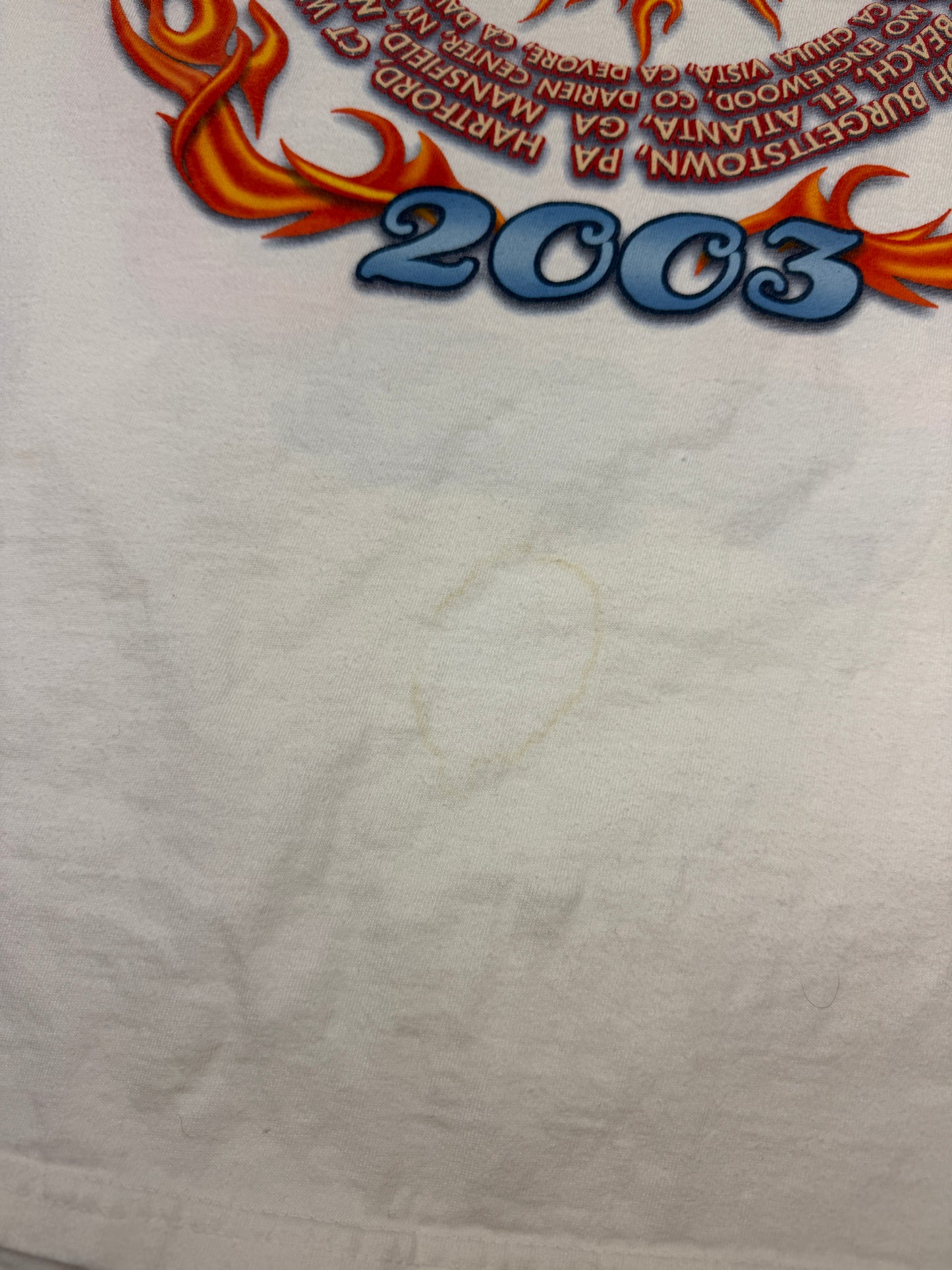 Vintage 2003 Aerosmith Rock And Roll Flames Tour Band T Shirt Size XL