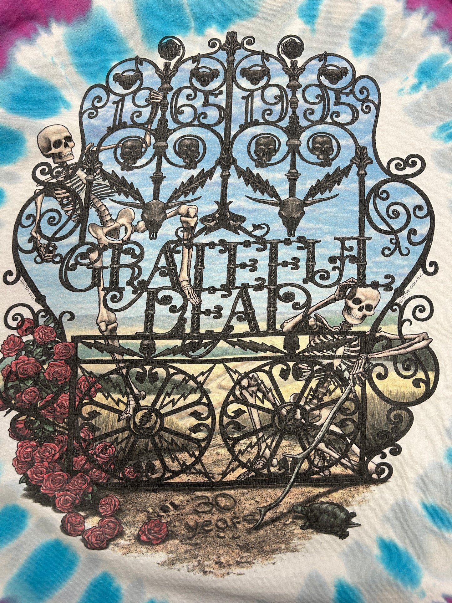 Vintage 1995 Grateful Dead 30 Years Skull Roses Tie-Dye Band Music Long Sleeve T-Shirt Size XL 90s