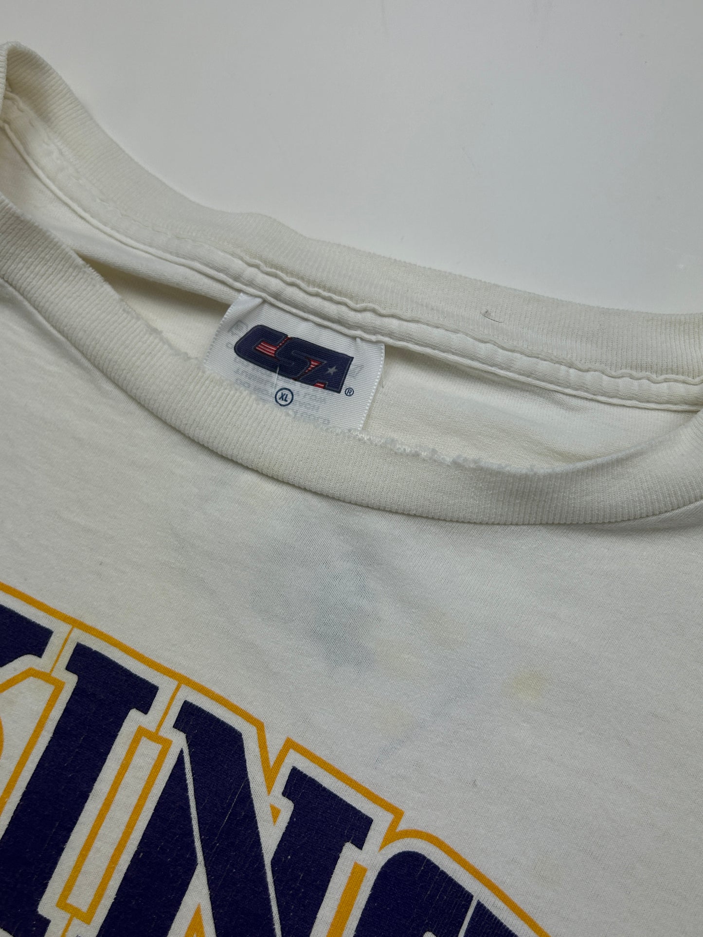 Vintage 2000 Minnesota Vikings Sleeve Spell Out NFL CSA Long Sleeve T Shirt XL