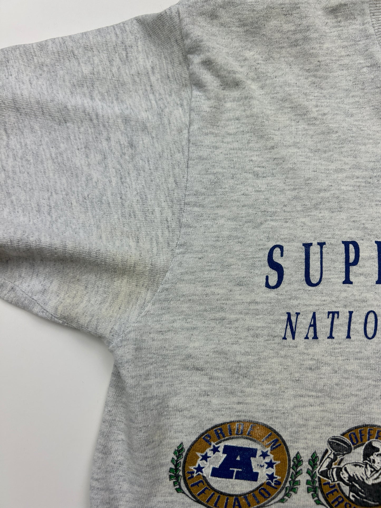 Vintage 1991 Super Bowl XXV Silver Anniversary Game NFL Nutmeg T Shirt Size M 90s
