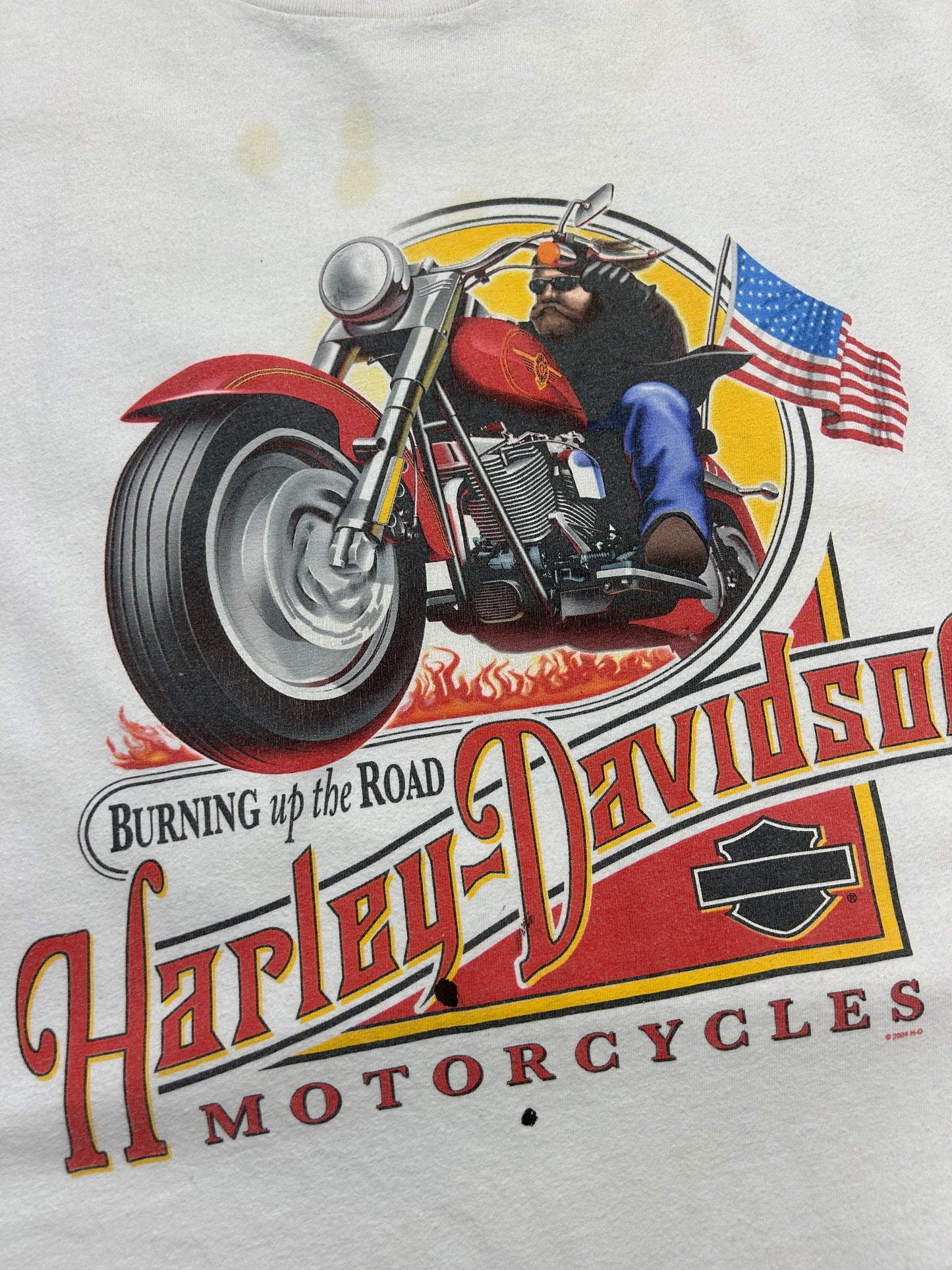Vintage 2004 Harley Davidson Burning Up The Road Flaming Eagle T Shirt Size L