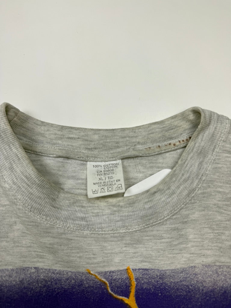 Vitnage 1994 Toronto Raptors Lightning Logo Buster NBA T Shirt Size XL 90s