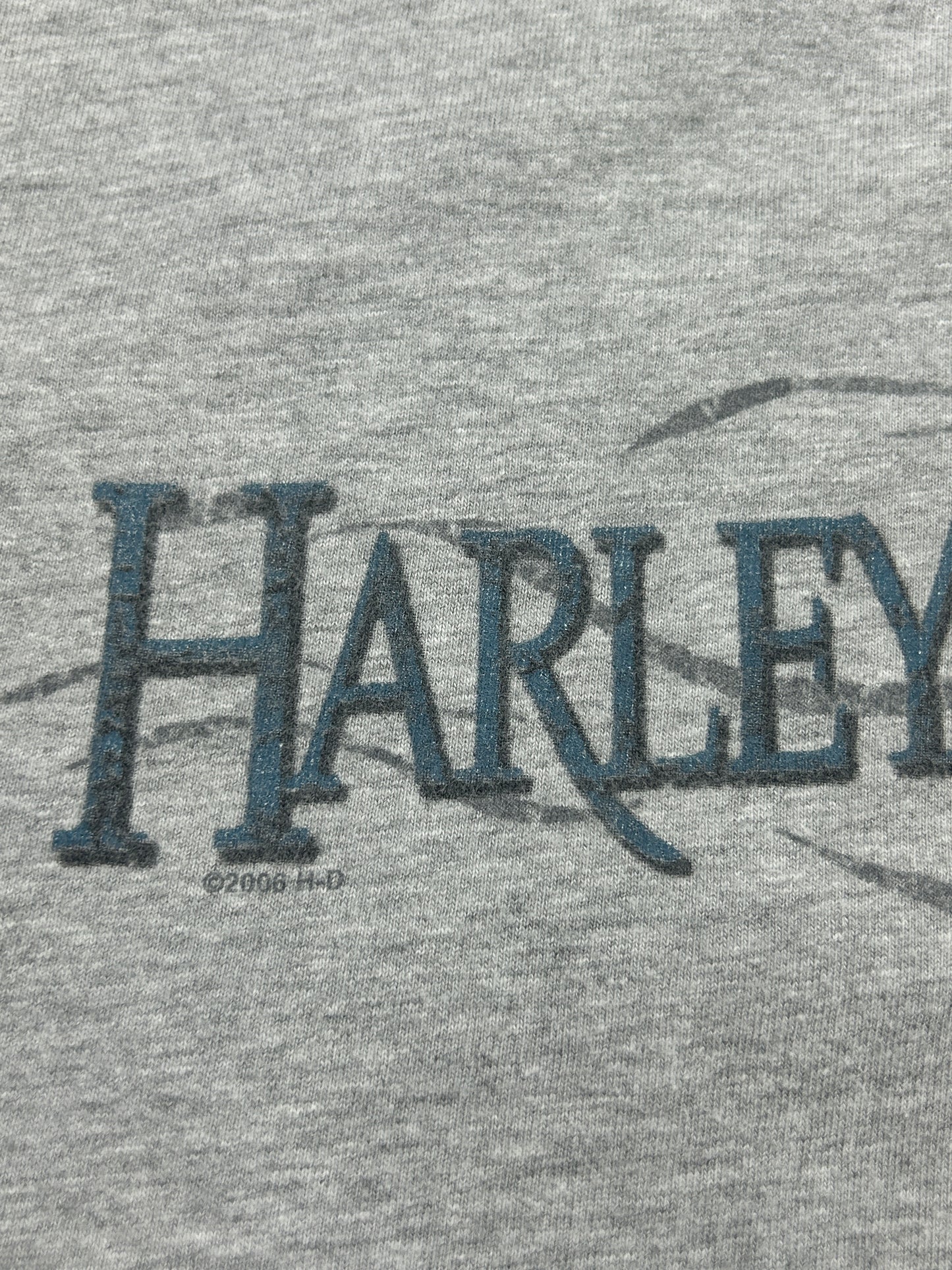 2006 Harley Davidson Motorcycles New York Skulls Long Sleeve T Shirt Size L