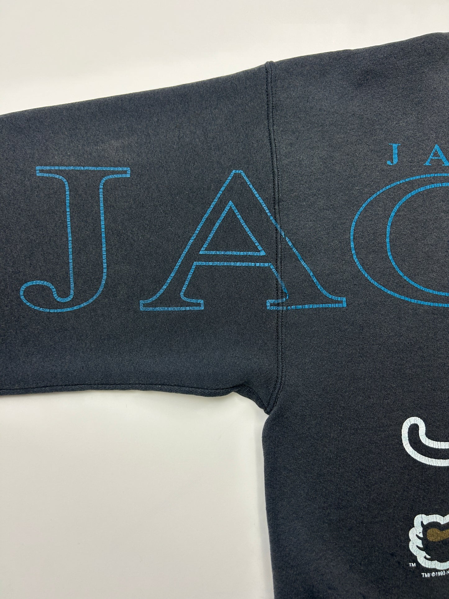 Vintage 1993 Jacksonville Jaguar Arm Spell Out NFL Banned Logo Sweatshirt Size XL
