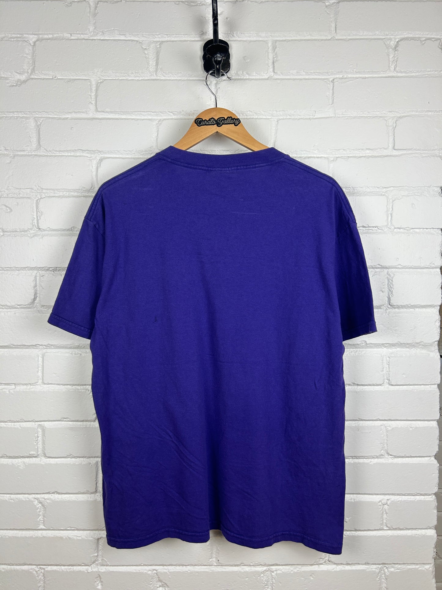 Vintage 1998 Tampa Bay Rays Inaugural Season MLB Equipment CSA T Shirt Size L 90s