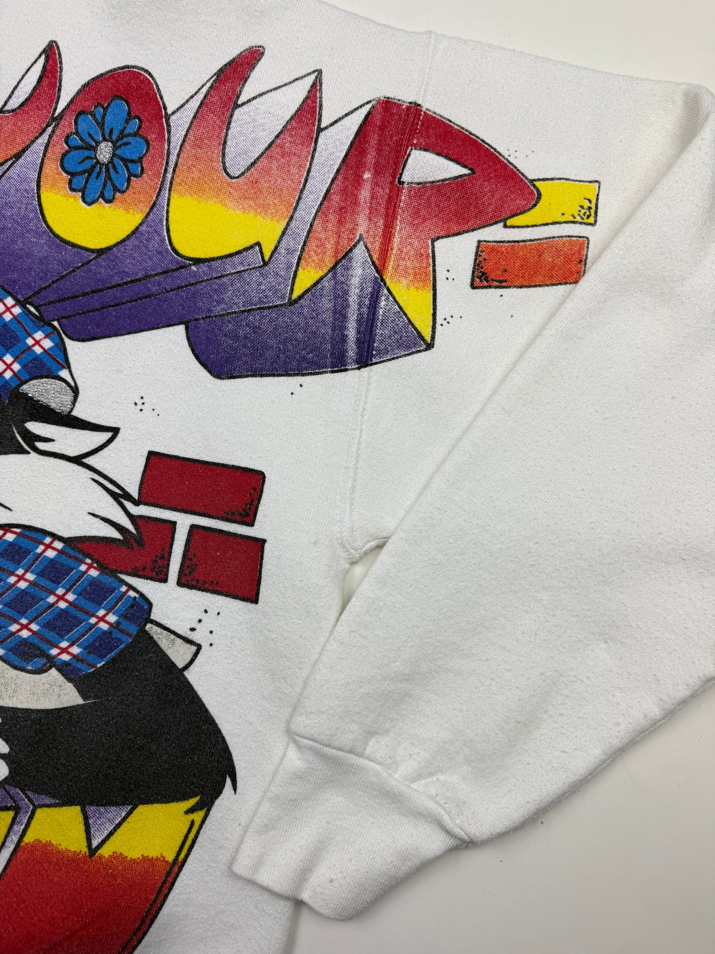 Vintage 1996 looney Tunes Tweety Bird Sylvestre Whats Your Problem? Sweatshirt Size L 90s