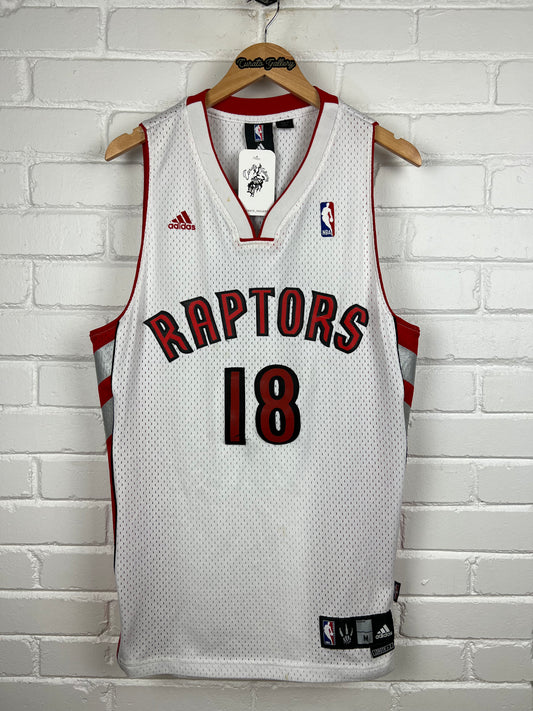 Vintage Anthony Parker #18 Toronto Raptors NBA Adidas Swingman Jersey Size M