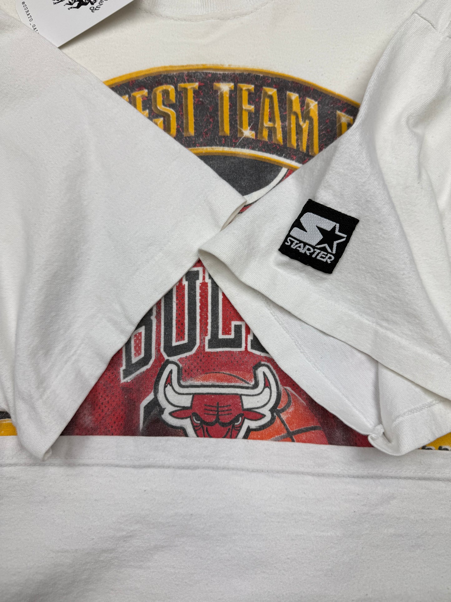 Vintage 1996 Chicago Bulls NBA Champions The Greatest Team Ever Starter T Shirt Size L 90s