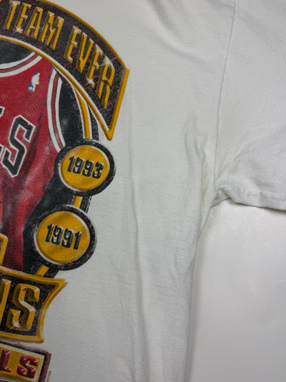 Vintage 1996 Chicago Bulls NBA Champions The Greatest Team Ever Starter T Shirt Size L 90s
